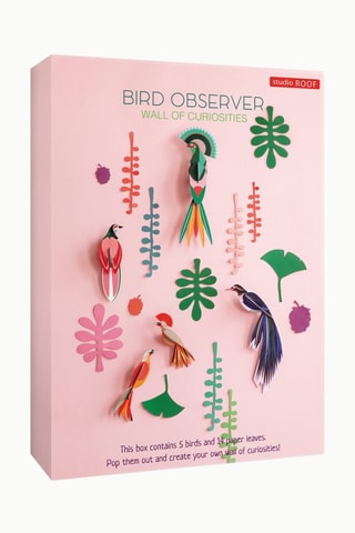 Decoração de parede Bird Observer - Verde e rosa