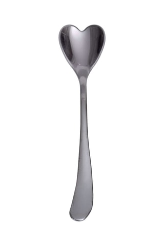 12 cuillères en acier inoxydable