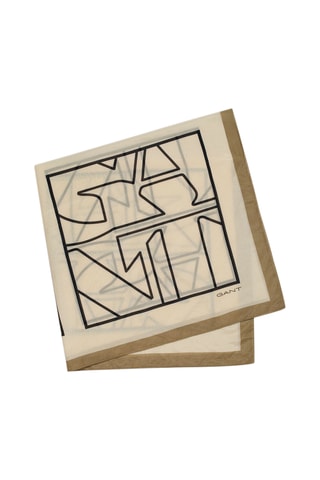 Carré en soie - Beige et kaki