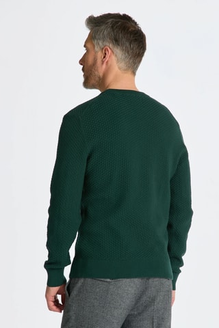 Pull regular en coton biologique - Vert foncé