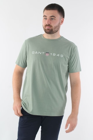 T-shirt regular - Vert sauge