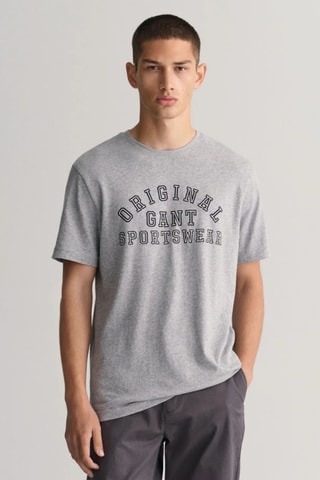 T-shirt regular - Gris
