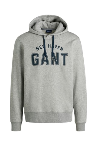 Sweat à capuche - Gris