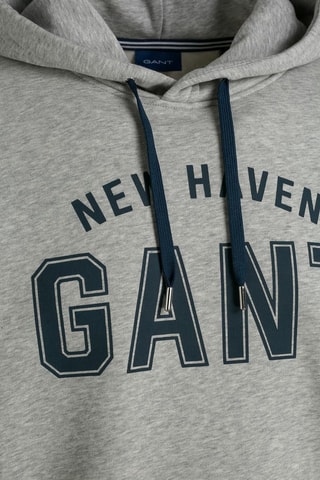 Sweat à capuche - Gris