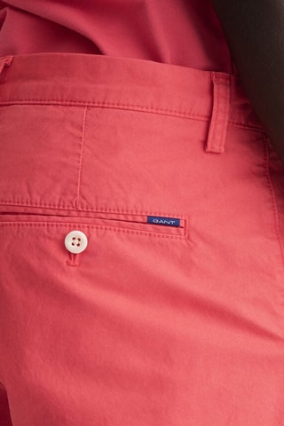 Short regular - Rose