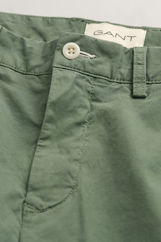 Short regular - Vert sauge