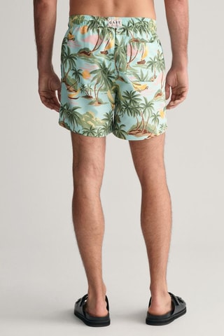 Short regular - Turquoise