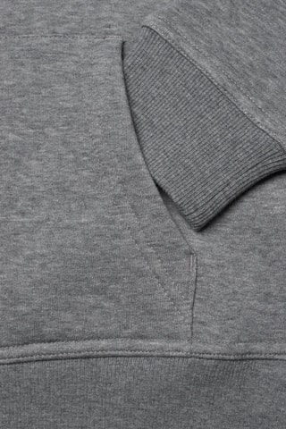 Sweat regular à capuche - Gris