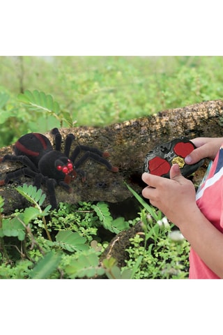 Tarentule télécommandé réaliste avec effet lumineux - Dès 6 ans