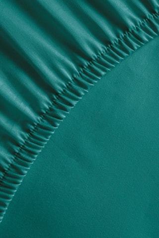 Drap-housse en satin de coton 200 fils/cm² Uni - Vert