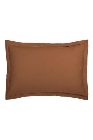2 taies d'oreiller en satin de coton Uni - 80 fils/cm² - Marron