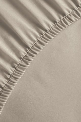 Drap-housse en satin de coton Uni - 80 fils/cm² - Taupe