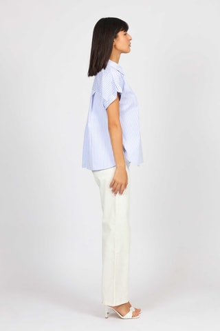 Camisa - Celeste y blanco