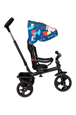 2-en-1 Driewieler Haari Blauw en Grijs