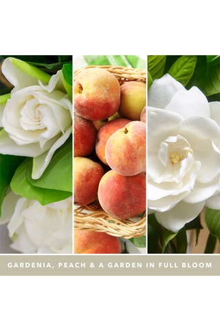 Vela perfumada jarra modelo grande Signature - Gardénia Blanc