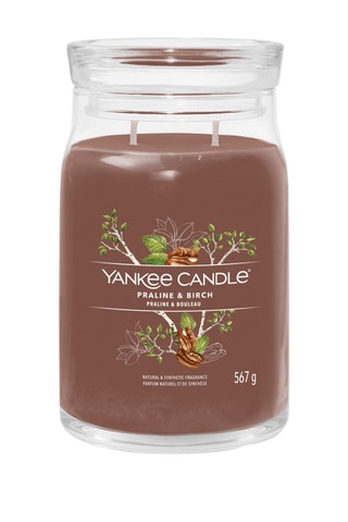 Vela perfumada jarra grande modelo Signature - Praliné e bétula