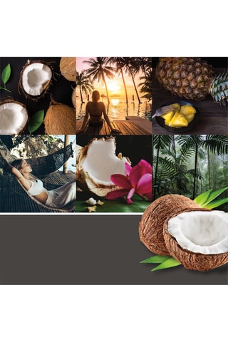 Bâtonnets désodorisants pour voiture - Noix de coco noire