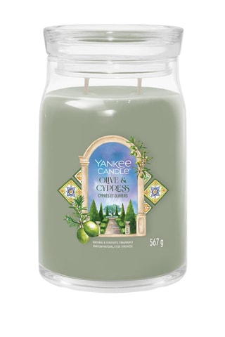 Vela perfumada jarra grande modelo - Cyprès e oliveiras