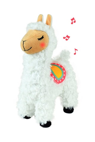 Coffret Fruity's - 6 pièces