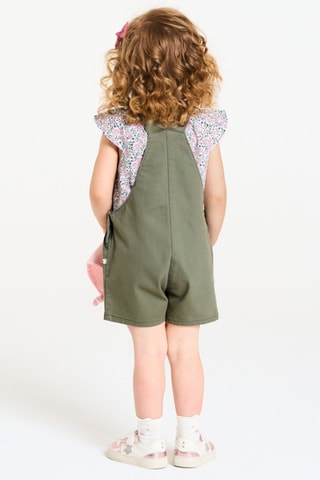 Jardineiras e t-shirt - Verde e rosa - Obaibi