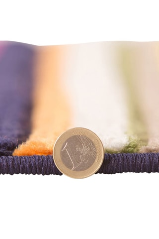 Vloerkleed Tango Multicolor