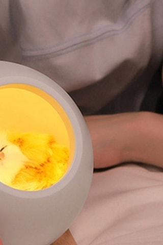 Lampe TechKidz - Veilleuse - Sleepy Cat