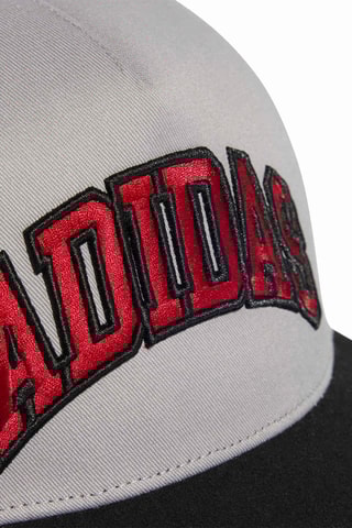 Casquette Varsity - Gris clair et noir