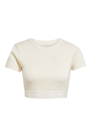 T-shirt cropped Rib SS - Ecru