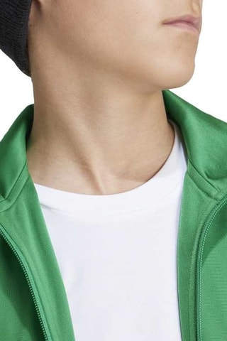 Sweat Firebird - Vert clair