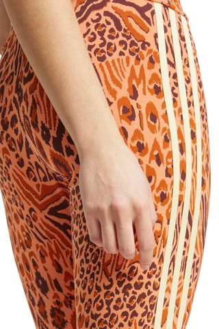 Cycliste Farm Rio - Orange