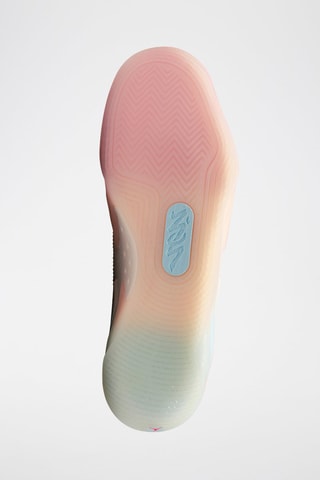 Zion 3 "Rising" - Corail et écru - Nike