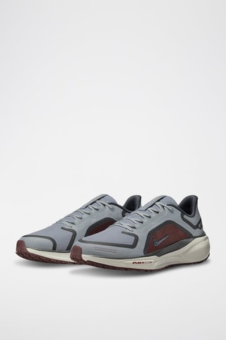Pegasus 41 - Gris clair - Nike