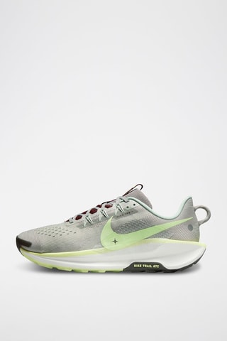 Nike Pegasus Trail 5 - Gris clair