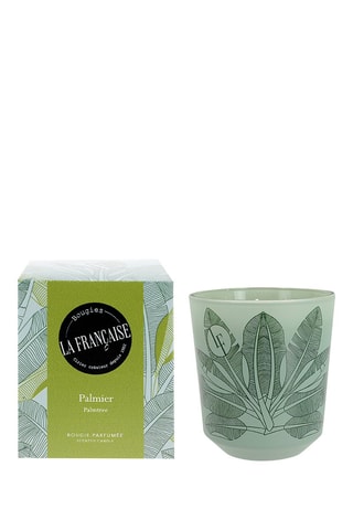 Bougie parfumée - Palmier