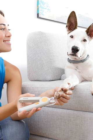 Coupe-ongles LED pour animaux de compagnie