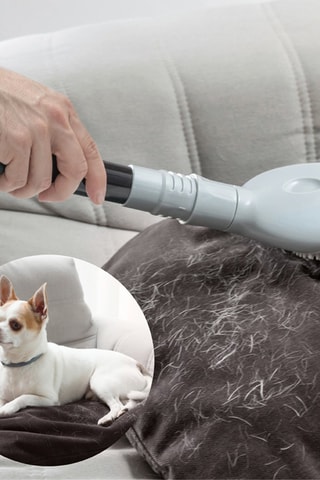 Embout anti-poils pour aspirateur - Gris