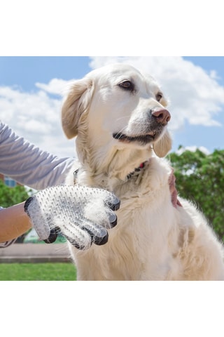 Gant de massage et brosse pour animaux - Noir et blanc