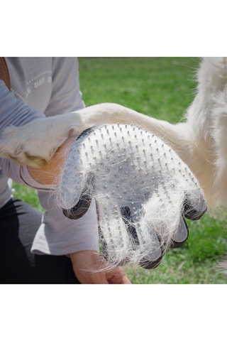 Gant de massage et brosse pour animaux - Noir et blanc