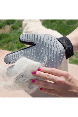 Gant de massage et brosse pour animaux - Noir et blanc