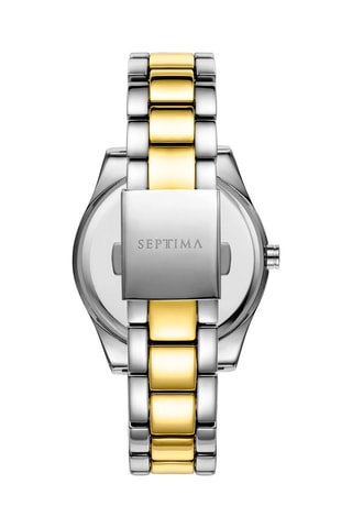 Stalen Quartz Horloge Zilverkleurig en Goudkleurig 