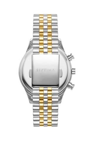 Stalen Quartz Horloge Zilverkleurig en Goudkleurig