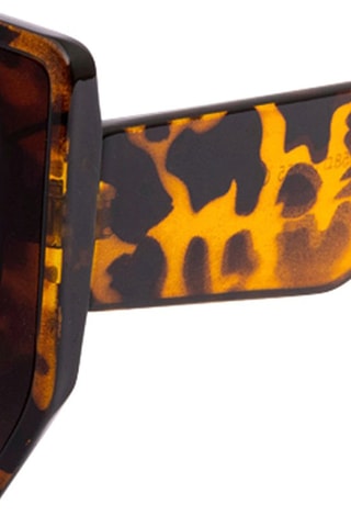 Zonnebril Uniseks Categorie 2 - Wild - - Monica Monaco