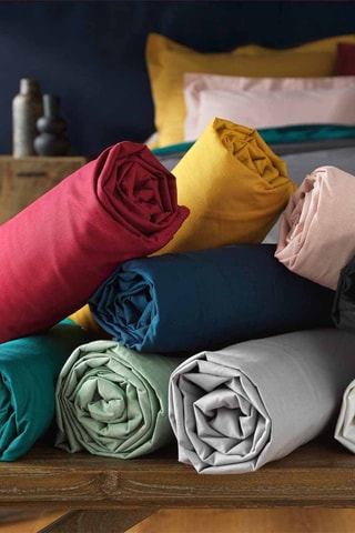 Drap-housse en coton 57 fils/cm² Lina - Blanc