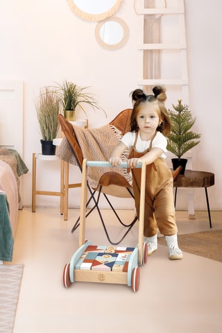 Troutteur et jeu des formes en bois - 27 blocs - Dès 12 mois