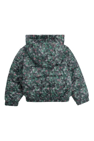 Doudoune à capuche - Kaki - IKKS