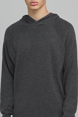 Sweat à capuche - Gris