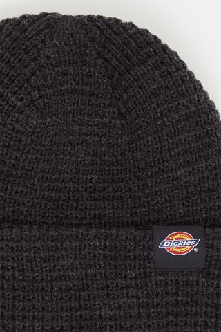 Bonnet Woodworth - Noir - Dickies