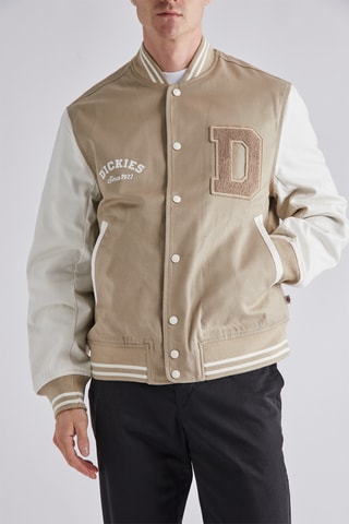 Veste Oak Grove - Beige - Dickies