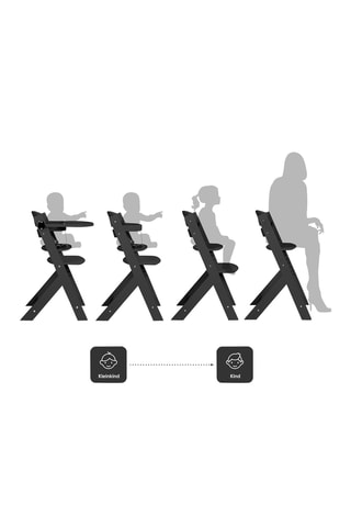 Chaise haute en bois de hêtre  - A partir de 36 mois - Family Pro - Jusqu'à 75 kg