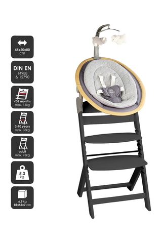 Chaise haute Family Pro avec harnais et adaptateur - Jusqu'à  75 kg